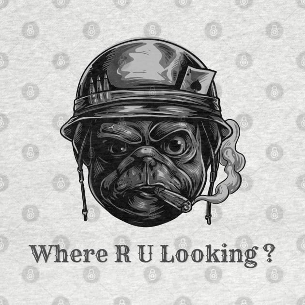 Where are you looking by Octagon